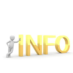 SHIB能放到oyi下载钱包里吗？一文解答