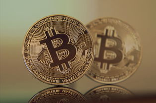 核心资产与交易基础设施，OYI欧e视角下的BTC比特币与ETH