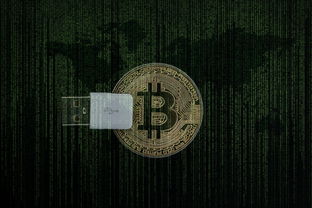 赚钱软件与数字货币的真实收益路径及避坑指南