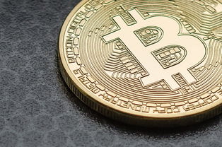 如何利用比特币实现财富增值的实用指南