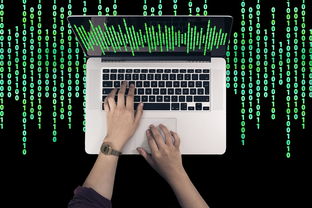 数字资产安全存储全攻略如何正确存入冷钱包并保障长期安全