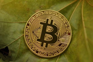 犹达挖矿出多少币了 挖矿产出数据查询方法全解析