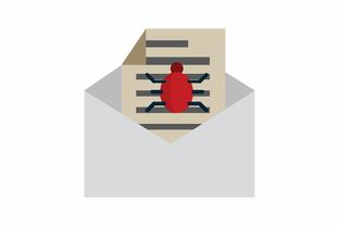 TP钱包钓鱼诈骗全解析 从识别到防范的完整指南